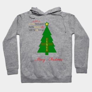 MERRY CHRISTMAS HIDDEN GIFTS JESUS T-SHIRT Hoodie